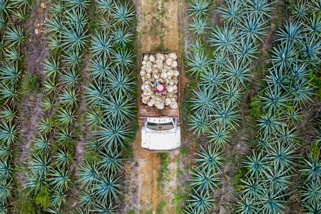 Loma Noble Mezcal Espadin